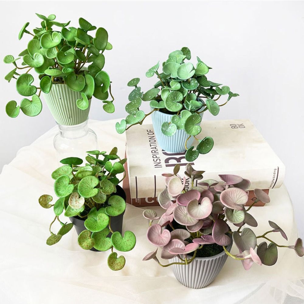 Echeveria Succulent - 부드러운 접착제 인조 식물 EVA 녹색