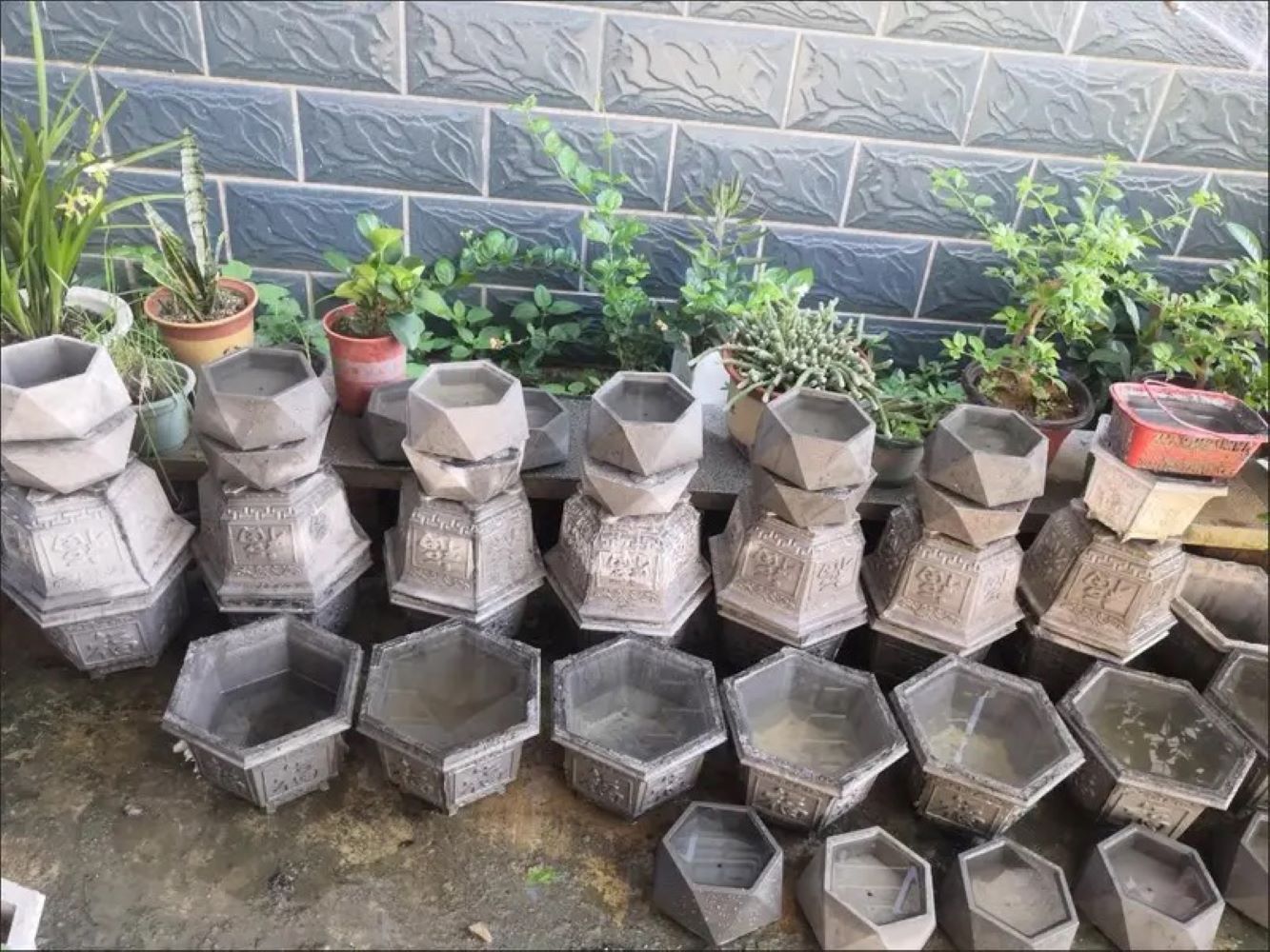 플라스틱 다육식물 화분 몰드, 재사용 가능한 DIY 화 - Echeveria Succulent 리뷰 및 가격