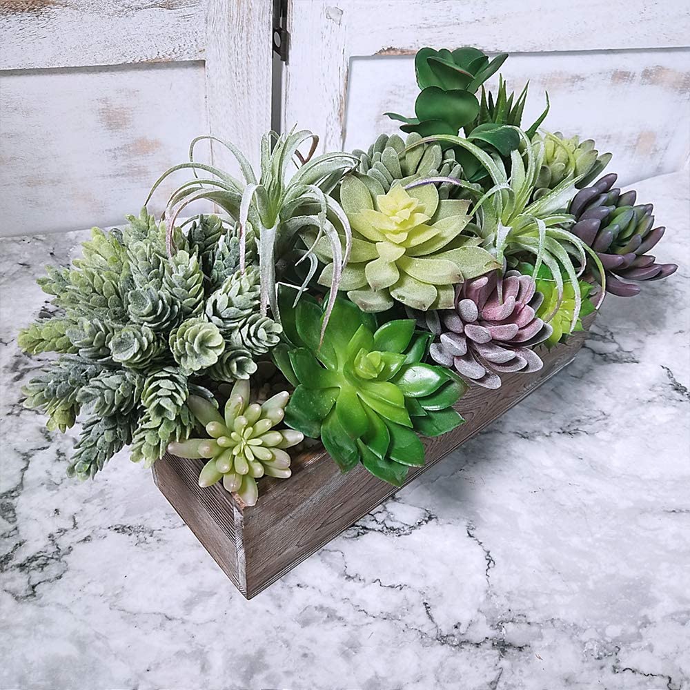 15팩 모듬 인조 다육식물 화분 없는 가짜 선인장 질감 - Echeveria Succulent 리뷰 및 가격