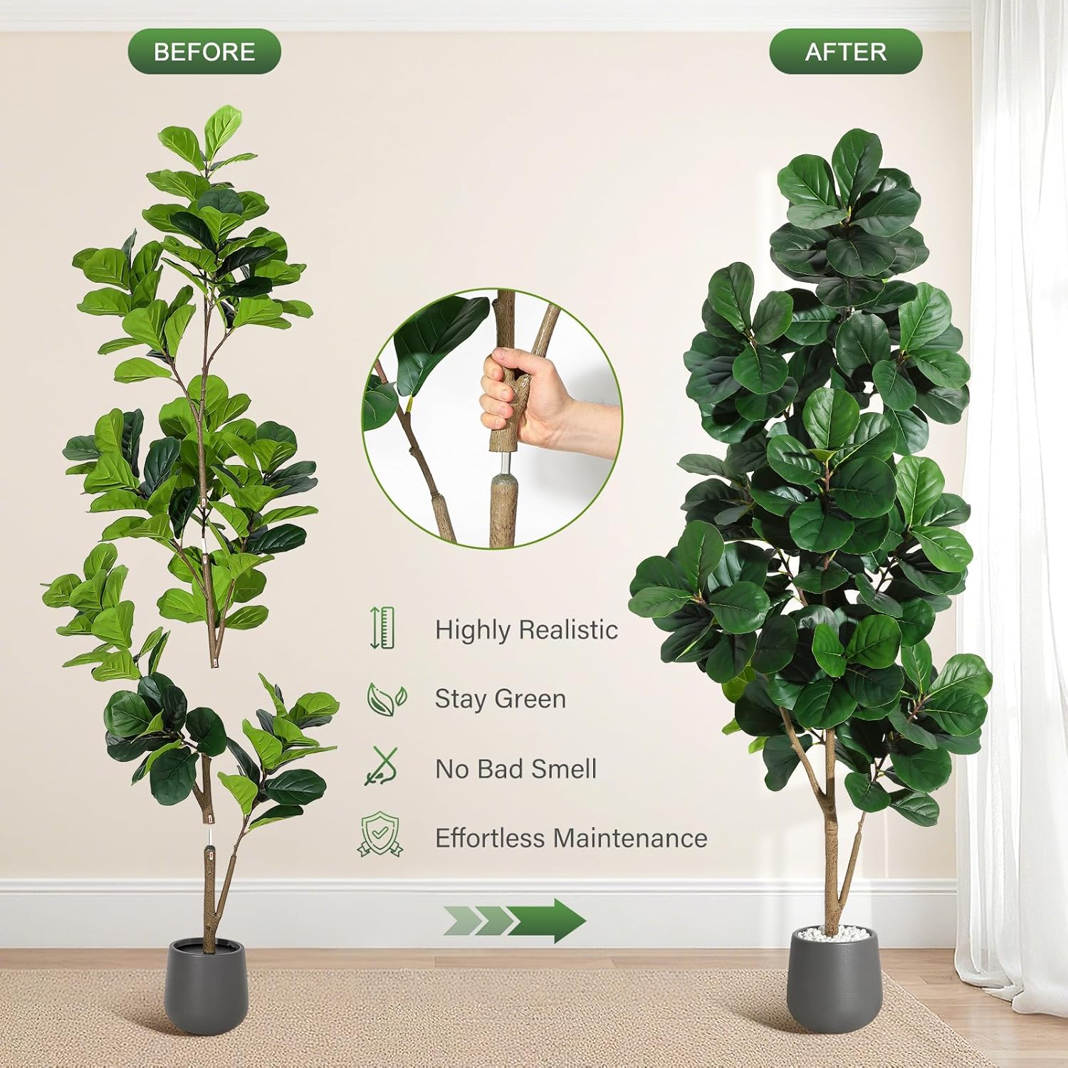 4피트/5피트/6피트/7피트 바이올린 잎 무화과 나무  - Ficus Lyrata Tree 리뷰 및 가격